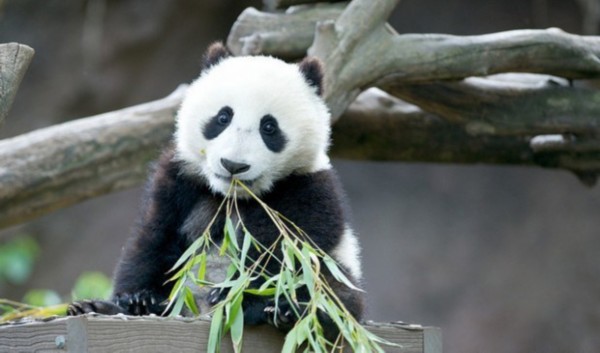 �й���èƵ���ȷ����� ���˿�߳���Ů��