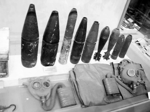 ���������ձ�ϸ��ս���Ӵ����