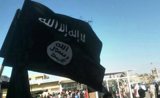 �վ�:��ع���Ӧֹͣ���ÿֲ����Ӵ��ս��Ŀ��