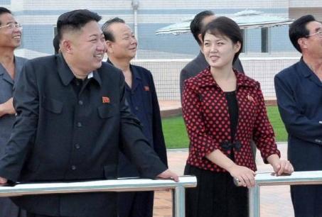 ����������ָ��NGO�ṩ�����Ѽ������鱨