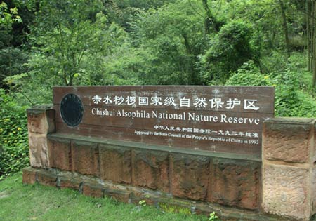 ֲ��ʯ����Ȼ