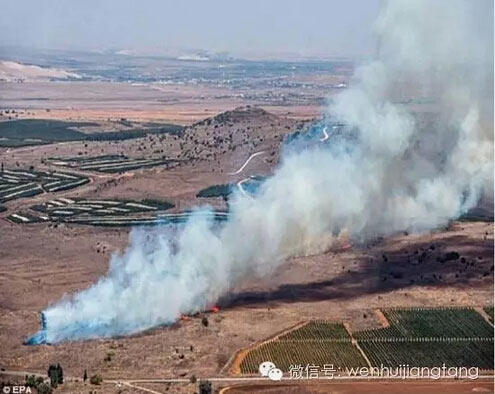 ����֮������:ŷ����ֵͬ������ ��������ѡ��