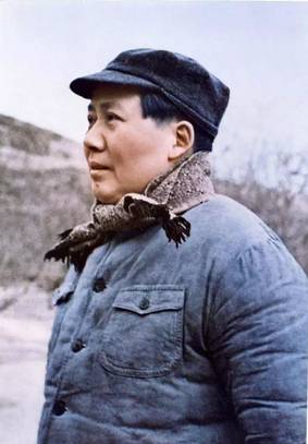 �����֣��Ҷ�ë����ʮ��