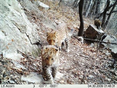 ��������ֻ�����������й�