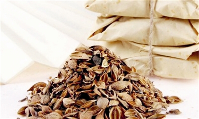 ƫ����ҽ��������ϵ������ҽ��ȥ�й���������