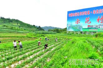 从塘约合作化新实践看毛泽东合作化思想和邓小平第二个飞跃思想的指导意义