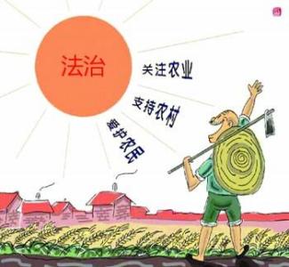 从塘约合作化新实践看毛泽东合作化思想和邓小平第二个飞跃思想的指导意义