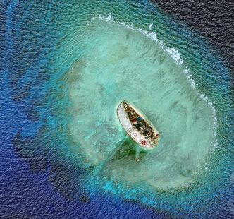 ��ý��Խ�����Ϻ�������Ӧѧ���ɱ�