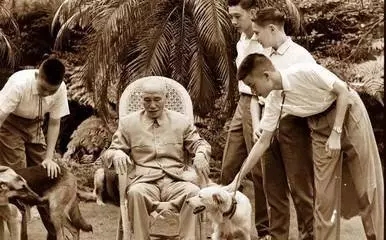 ������ | ���պ�������Ϊ����ʯ����������ʧ��֮��