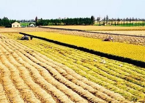 ��ֺ�����ũ�����ؼ�������������ƶ�����