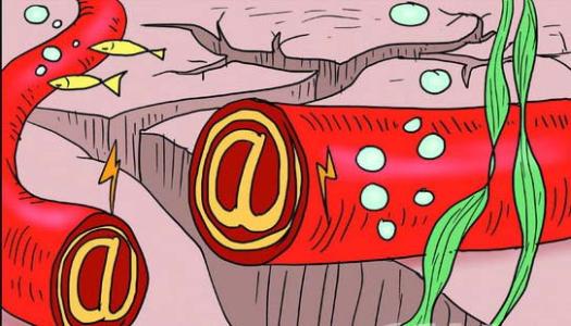 ����˹Ӧ�Թ��Ҷ�����в����ʾ