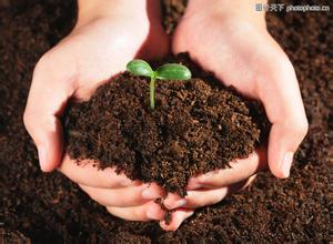 ȫ����̬Σ����˼���Դ������