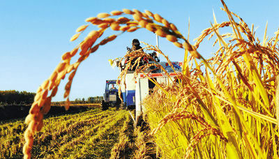 ������̸�й�ũҵ��չ��������12��������Ϊ�ν���ȴ�ڲ���������