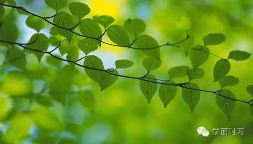 ��ϰʽ��̬���������ȷ�򿪷�ʽ