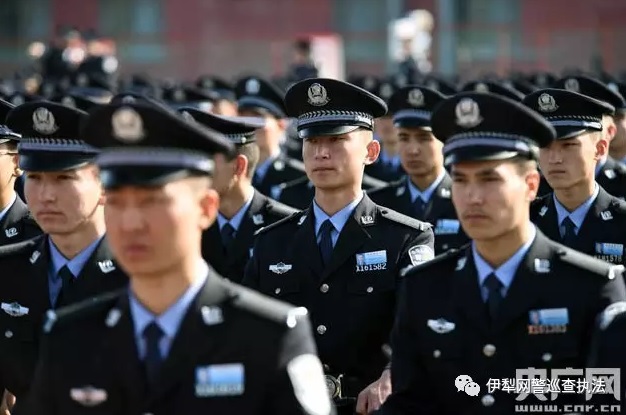 �½���������ά����������ɾ�������:���ڵ� ���ڹ��� ��������������������ȫ����ս