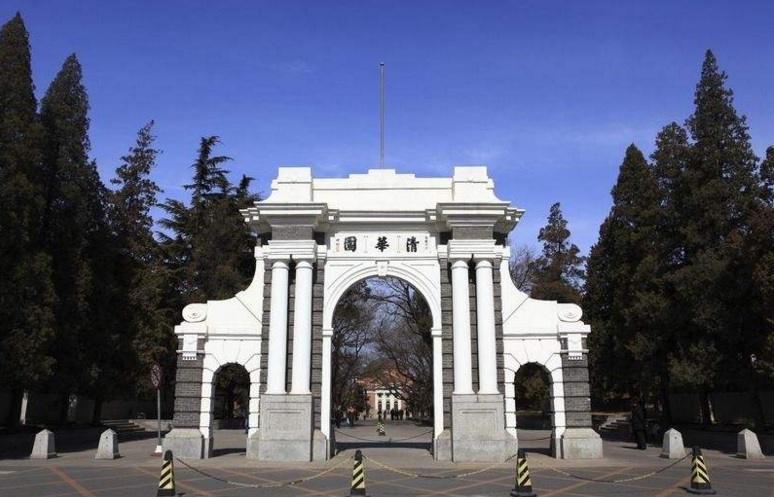 ����ר���廪��һ��ά����岩ʿ�ĳɳ�������