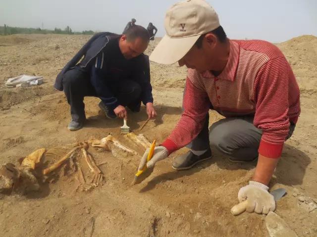 һλʷѧѧ�ߡ����ﱣ�������ߵ����������������ܵĿ�������������֪�Ѿ�����