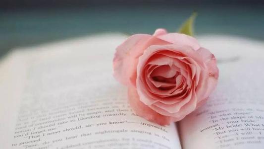 ��ý��ʱ�����Ž�����ת��