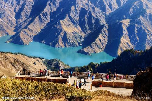 ����ɽ���Ŵ�������������������