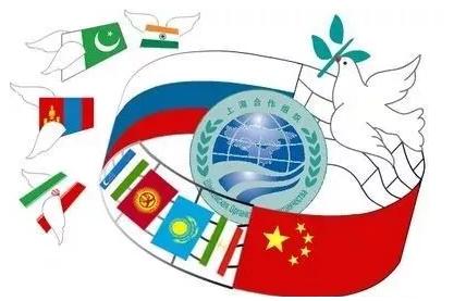 �Ϻ�������֯��Ա���й��ġ�һ��һ·������