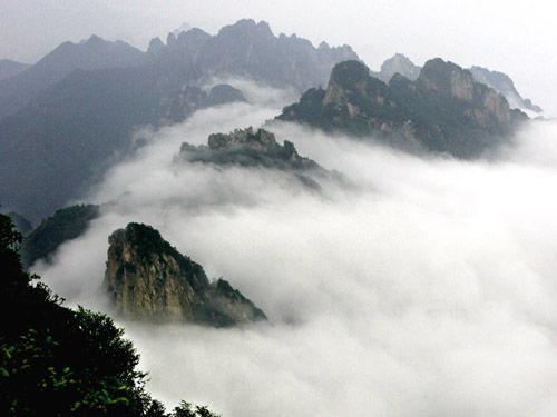 ���ȴ��������κ����������