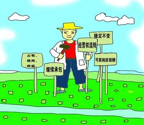 ������⡰���سа����ں����ӳ���ʮ�ꡱ��